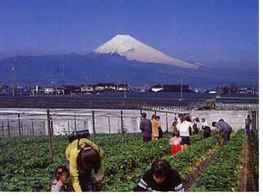 ゲストハウス+カフェわ　１日１組限定！ 築１００年の農家の古民家で宿泊体験、薪でお風呂沸かせます。焚き火もできます。 Kannami Εξωτερικό φωτογραφία